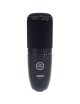 AKG Perception 120