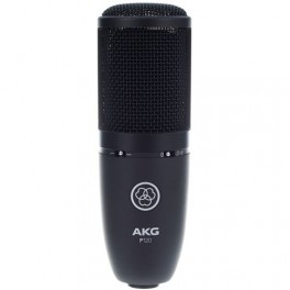 AKG Perception 120