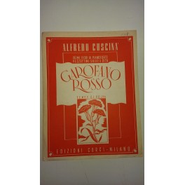CUSCINA' GAROFANO ROSSO