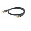 PROEL CAVO 2 JACK 6,3 MASCHIO /2 JACH 6,3 MASCHIO CHLP315LU3
