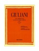 GIULIANI 120 ARPEGGI STUDI SUGLI ABBELLIMENTI OP1 PER CHITARRA