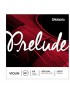 MUTA D'ADDARIO VIOLINO 4/4 PRELUDE J810