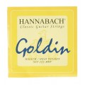 MUTA HANNABACH GOLDIN 725MHT
