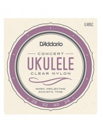 MUTA D'ADDARIO PER UKULELE CONCERTO CLEAR NYLON EJ65C