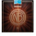 MUTA D'ADDARIO CHITARRA ACUSTICA NB1253 NICKEL BRONZE