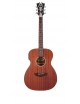 CHITARRA ACUSTICA ELETTRIFICATA D'ANGELICO PREMIER TAMMANY LS