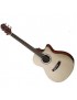 CHITARRA ACUSTICA CRTAFTERR HT100CE OP