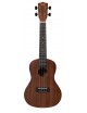 UKULELE TENORE DE SALVO DS UKMT MOGANO