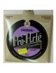 MUTA D'ADDARIO EJ44C EXTRA HARD TENSION