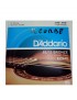 MUTA D'ADDARIO CHITARRA ACUSTICA 12 CORDE EZ940