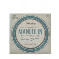 MUTA D'ADDARIO PER MANDOLINO EJ62