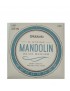 MUTA D'ADDARIO PER MANDOLINO EJ62