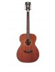 CHITARRA ACUSTICA ELETTRIFICATA  REMIER GRAMERCY DAPLSOMAGDCP
