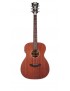CHITARRA ACUSTICA ELETTRIFICATA  REMIER GRAMERCY DAPLSOMAGDCP