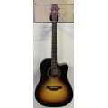CRAFTER HD100 CE  OPVS