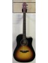 CHITARRA ACUSTICA CRAFTER HD100 CE  OPVS