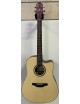 CHITARRA ACUSTICA CRAFTER HD100CE N