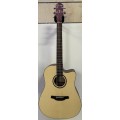 CRAFTER HD100CE N