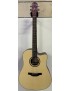 CHITARRA ACUSTICA CRAFTER HD100CE N