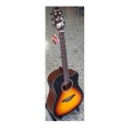 CRAFTER HD250CEVS