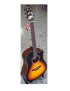CHITARRA ACUSTICA CRAFTER HD250CEVS