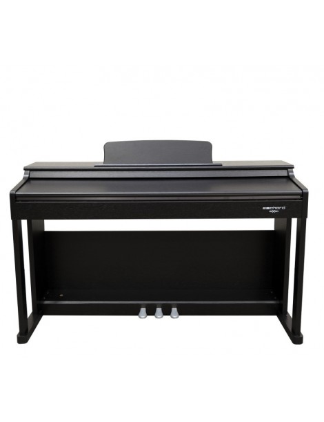 PIANOFORTE DIGITALE 88 TASTI PESATI E-CHORD DPX-100