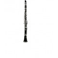 YAMAHA YCL255s