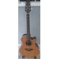 TAKAMINE GN20CE