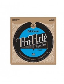 MUTA D'ADDARIO EJ 46