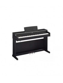 YAMAHA ARIUS YDP165