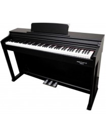 ECHORD DPX100 SATIN BLACK