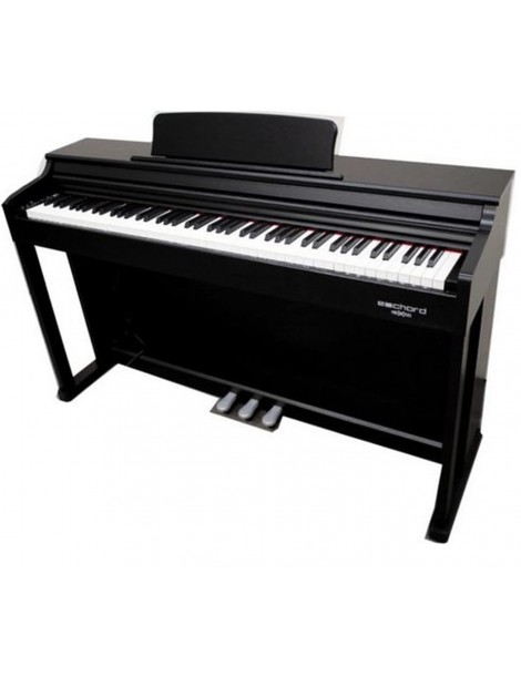 ECHORD DPX100 SATIN BLACK