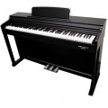 ECHORD DPX100 SATIN BLACK