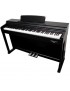 ECHORD DPX100 SATIN BLACK