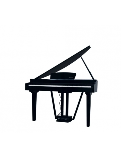 ECHORD GP10 PIANO DIGITALE